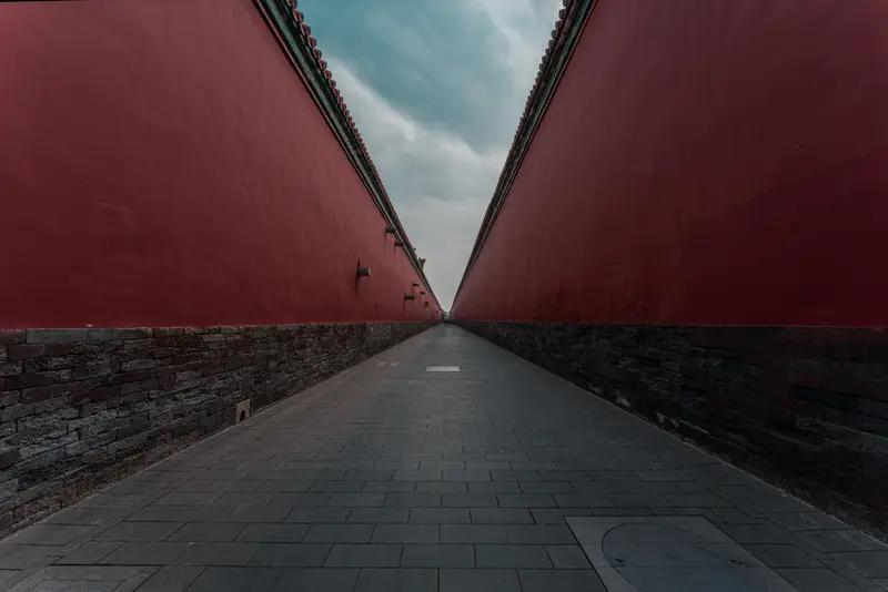 这首《七绝•花雨》意境十足！“花盈数朵映高墙”，短短几字便勾勒出几朵鲜花映衬着高