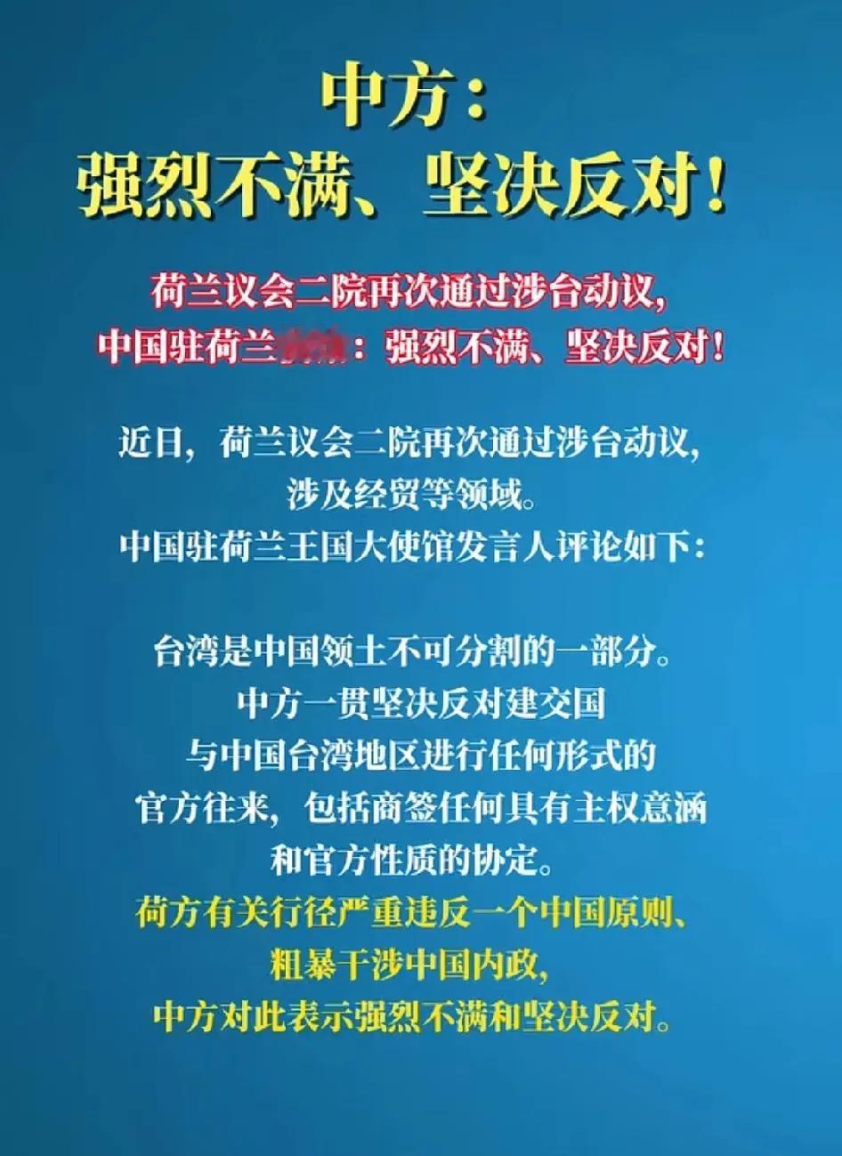 荷兰又在挑衅国家主权完整。这不是第一次了，荷兰真是庙小妖风大、水浅王八多。这次又