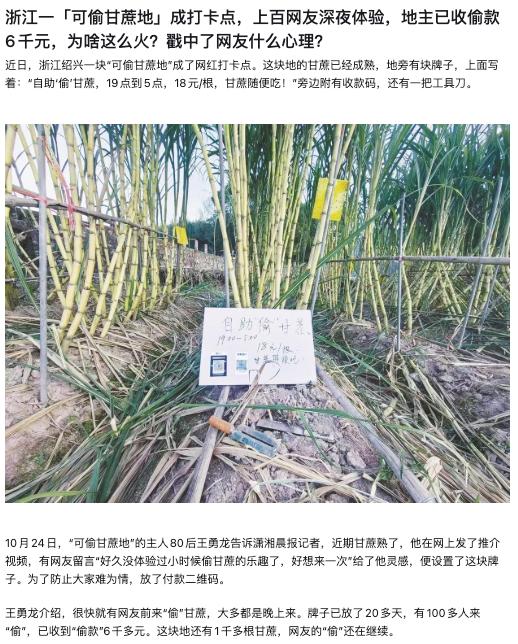 论经商思路，还是要看浙江。

「可偷甘蔗地」这个创意太好了，既让玩家感觉很兴奋，