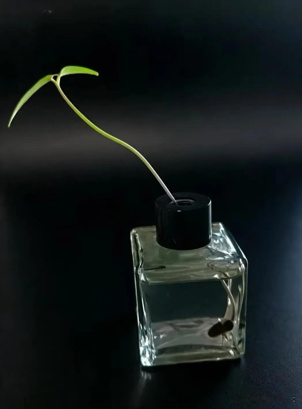 人间清醒的九句话，读完大彻大悟
 
1. 不要拿你的善良，去惯不懂感恩的人。心软