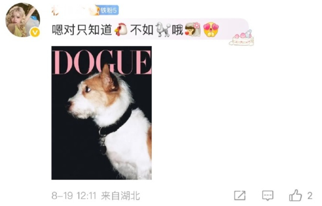 不行了，太蠢了。。。。有时候他家粉丝留言，你都要愣一下然后思考着到底是pph，还