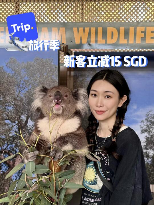 🇸🇬旅行季羊毛时间到 | Trip新客立减15🐑