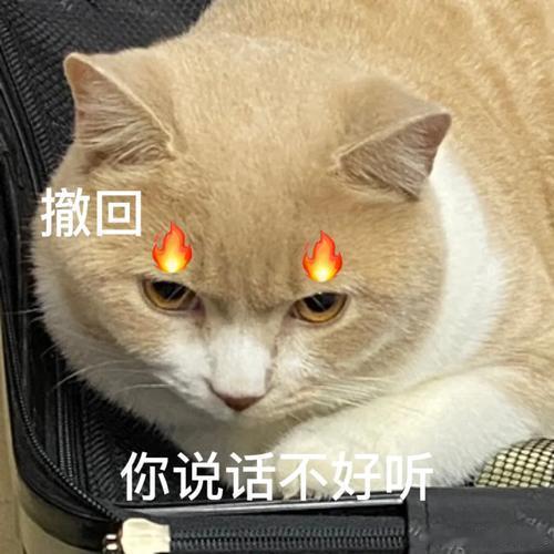欧足联决定抵制世界杯用钱逼各协会站队就算了，自己卸任还想去当CEO拿天价年薪，因