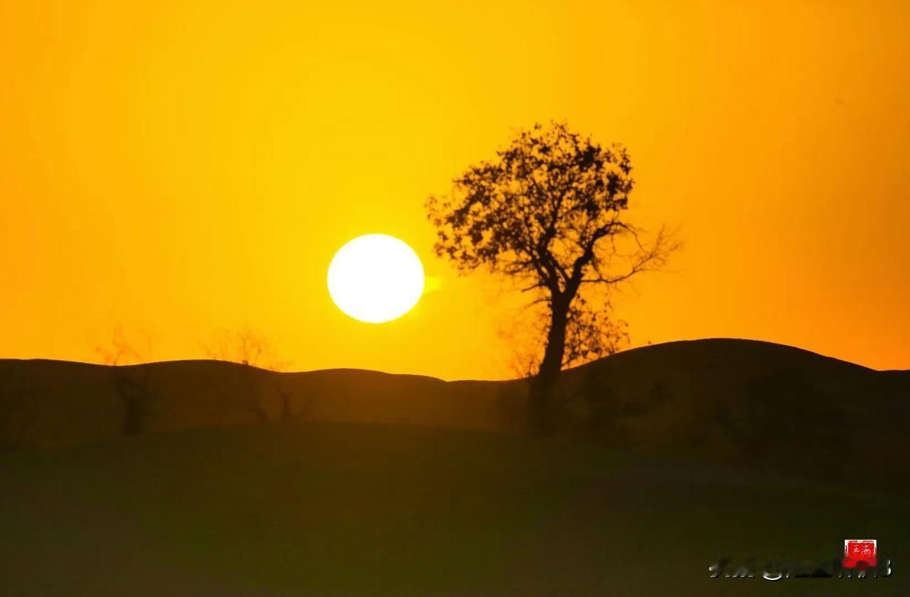 《大漠日出：时光缝隙里的璀璨与永恒》（原创首发）陋室听秋/文
 
破晓之际，我静