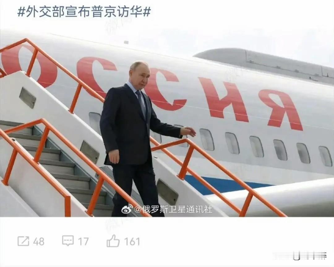 谁来，最受欢迎？
