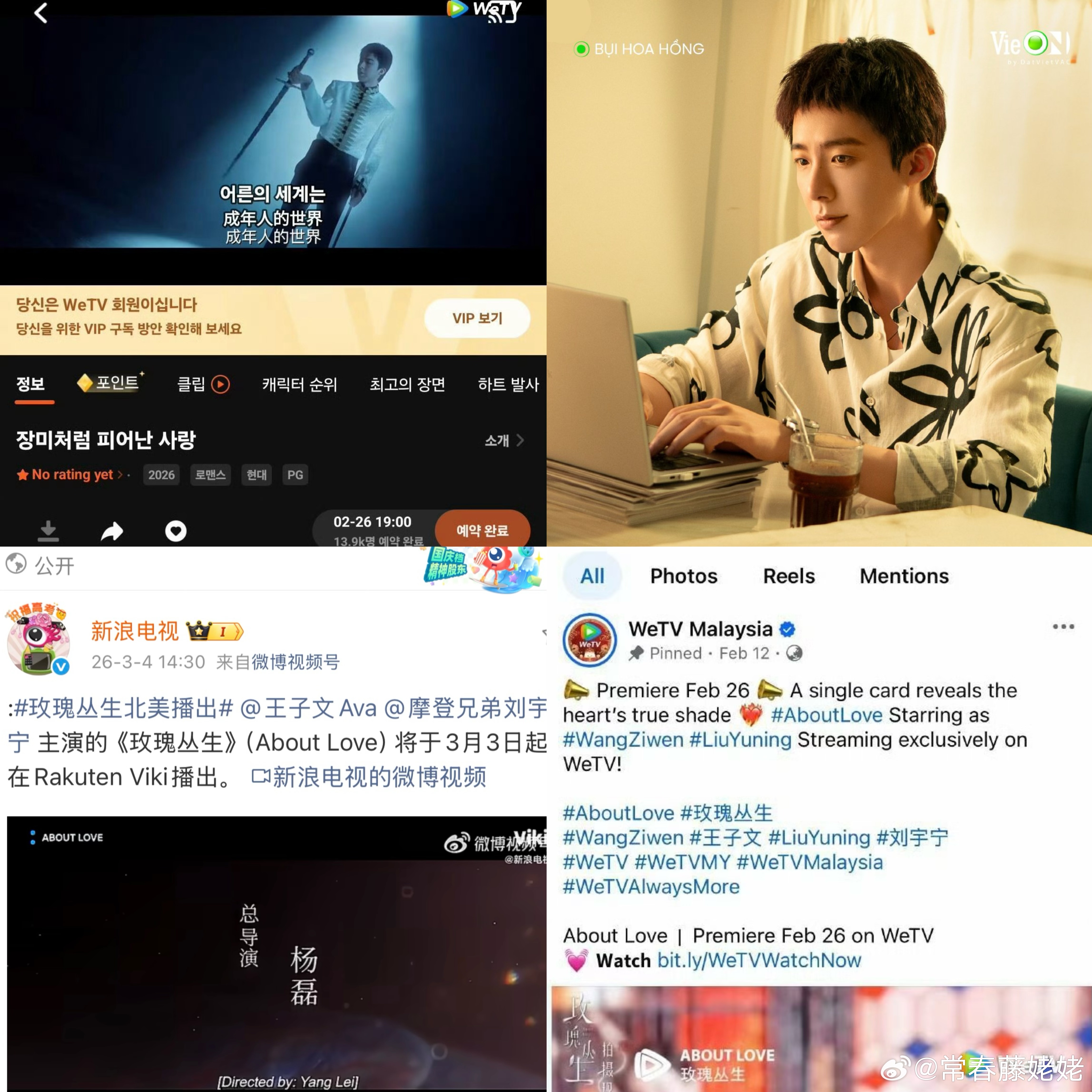 摩登兄弟 《玫瑰丛生》无宣发A级积压剧，全集有广，出海韩越泰马来西亚及北美地区等