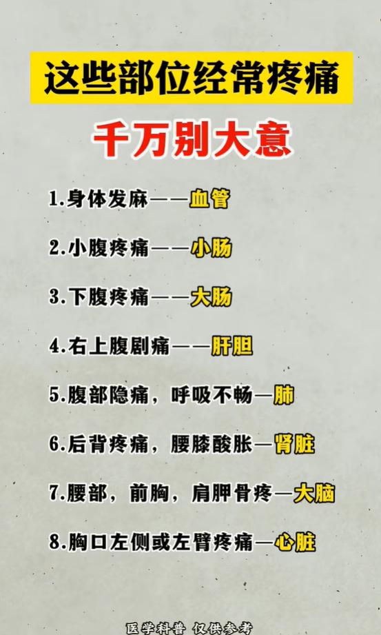身上多处经常疼？不同痛感对应脏器一文分清