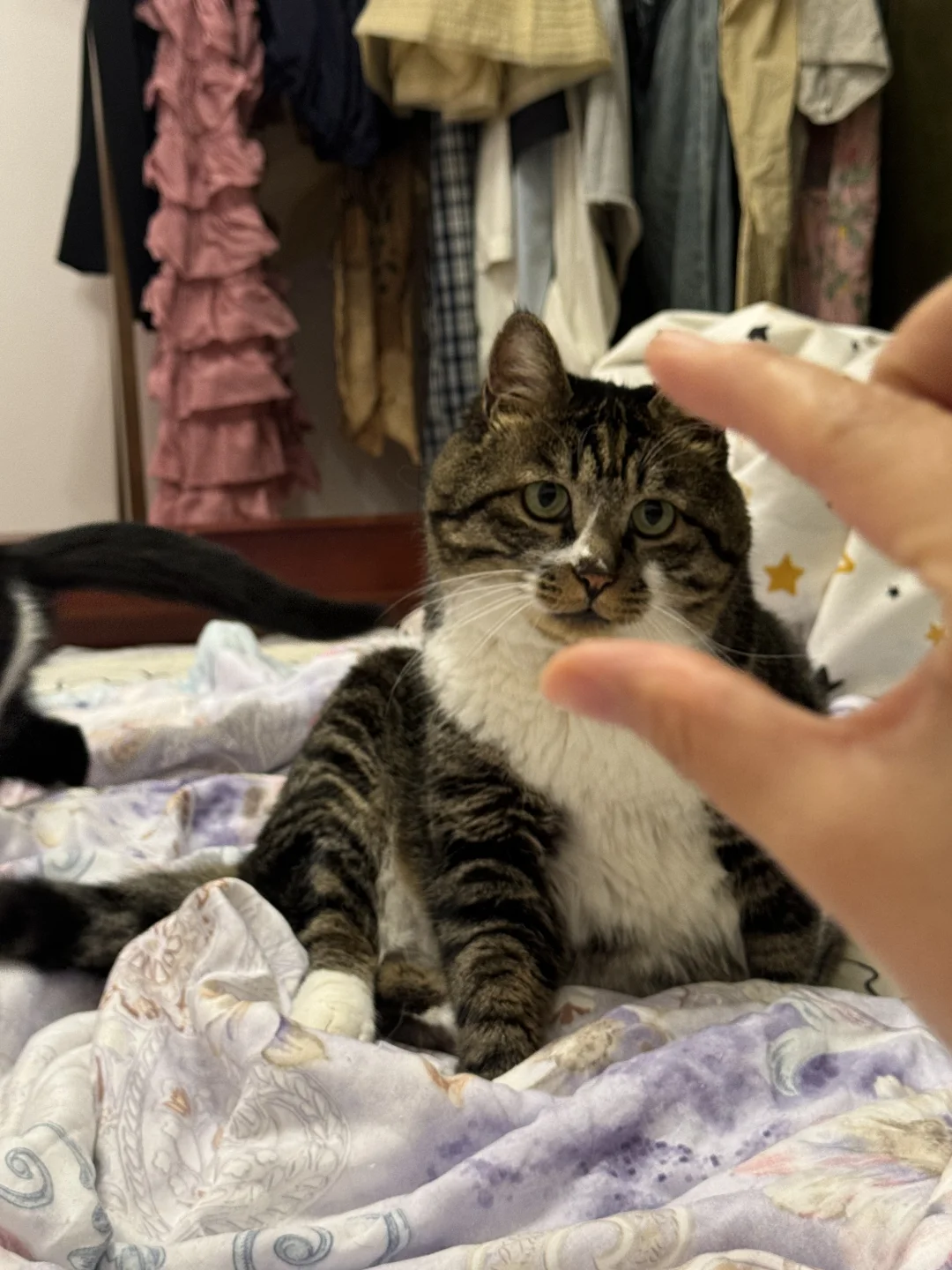 这个角度好好拍