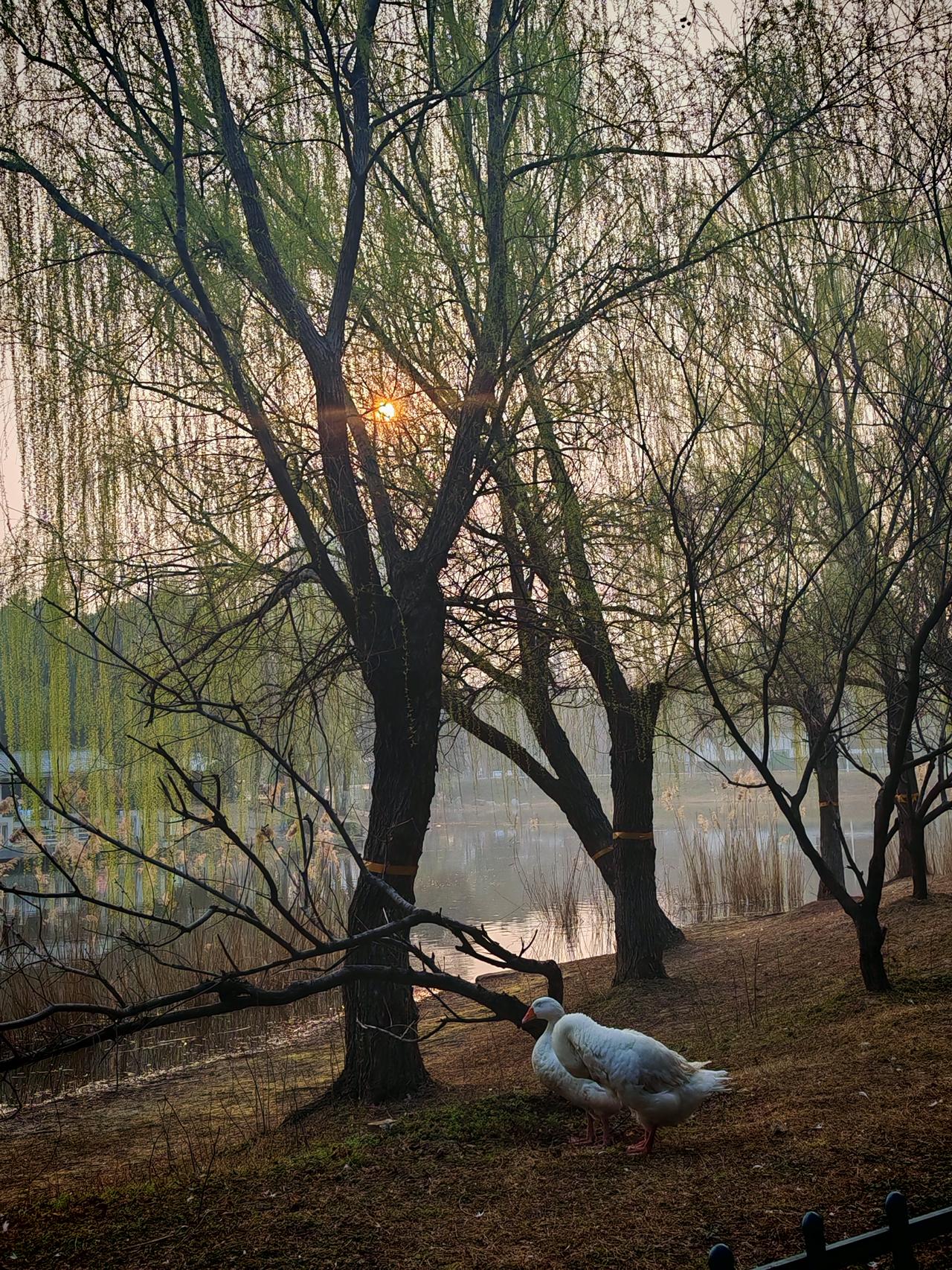 新的一天开始了，要开心哦