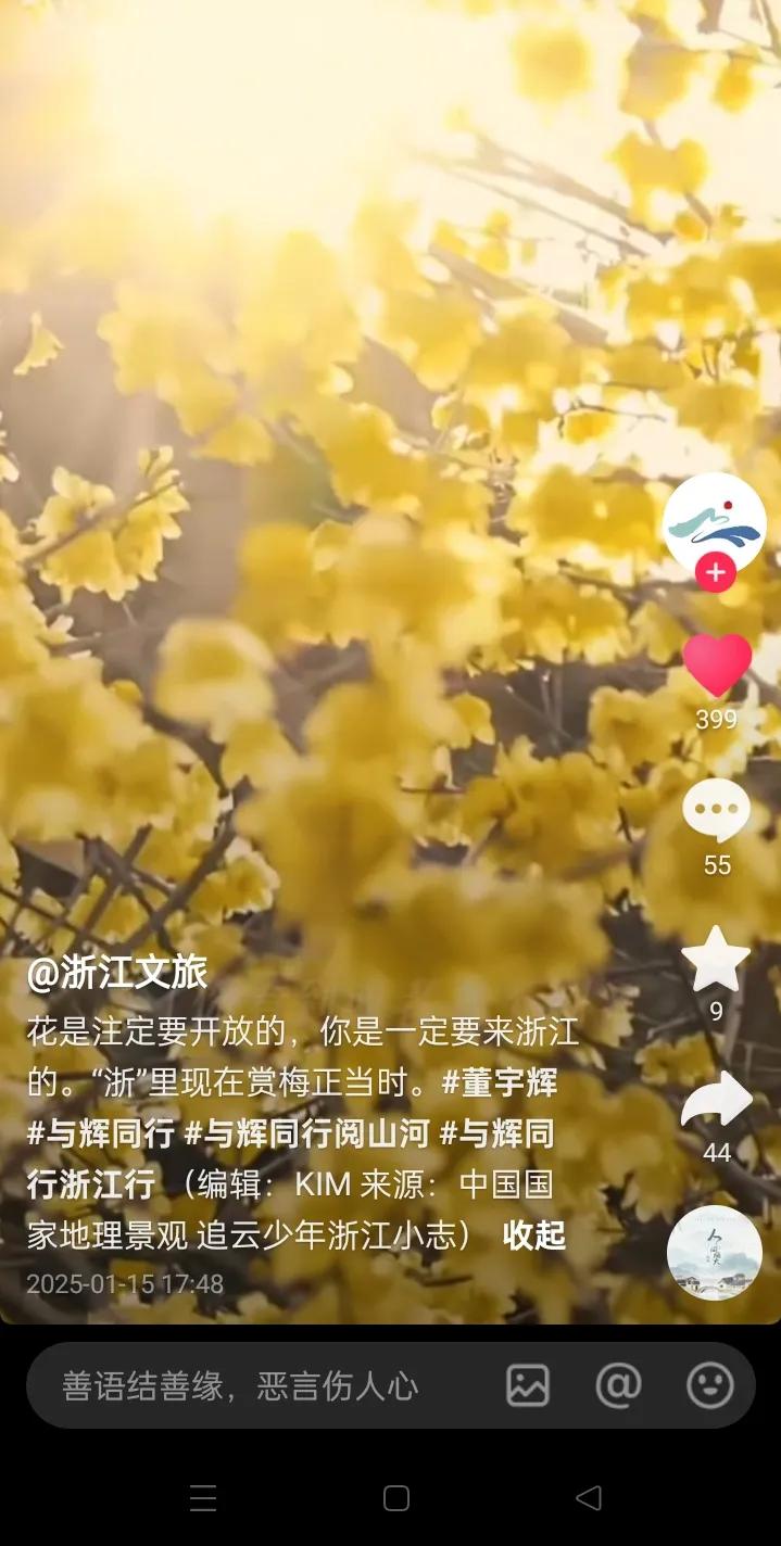 春节过后宇辉第一个外场可能是浙里
浙江文旅：花儿注定是要开放的
宇辉同行必有所获