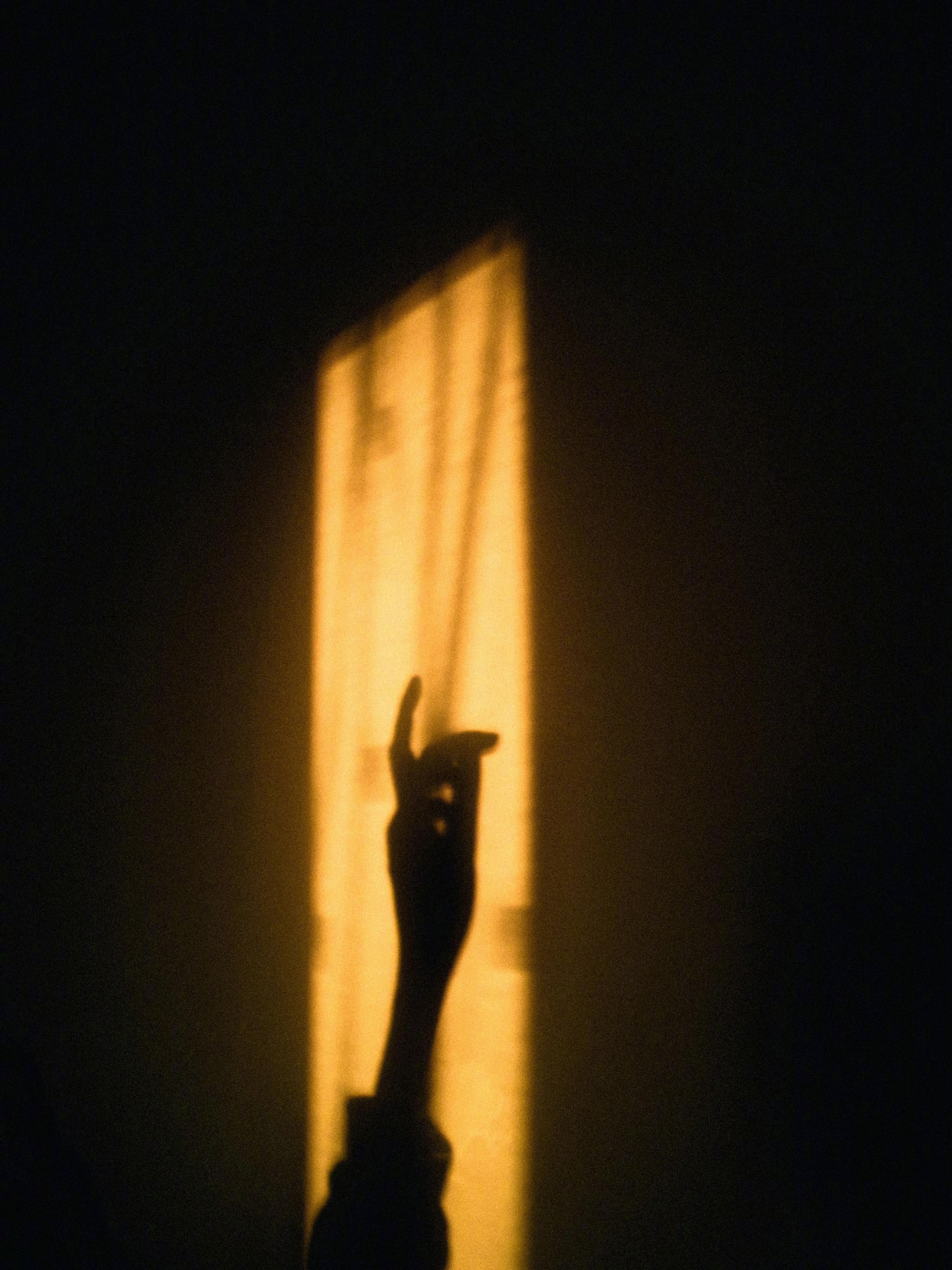 与其苦苦追寻失去的东西，还不如好好珍惜自己眼前拥有的东西。——小川糸《山茶文具店