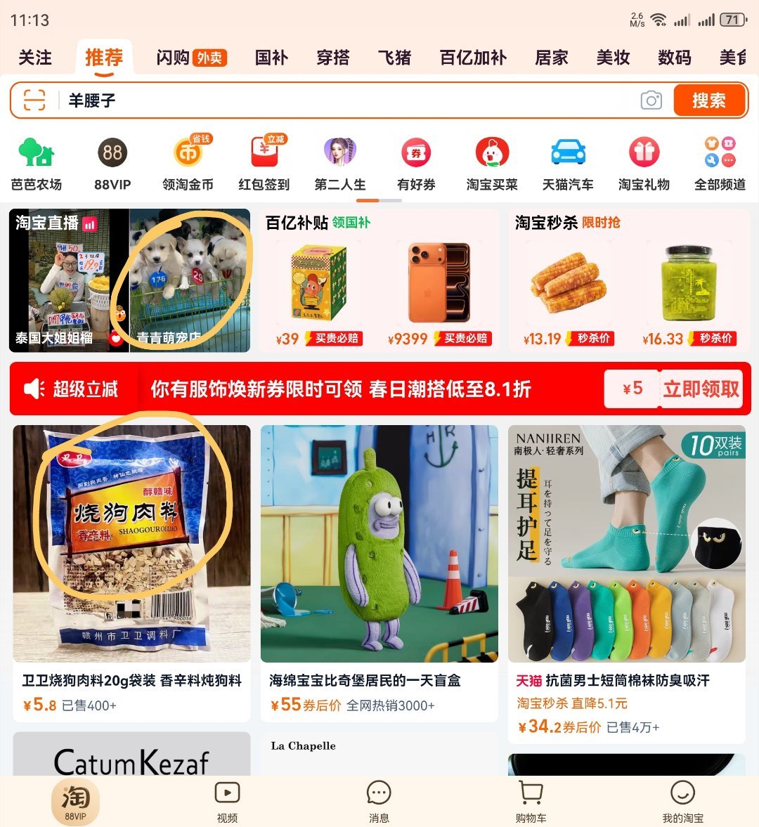 肚子饿了想点个外卖，打开淘宝上面青春萌宠，下面烧狗肉料有点太地狱了 