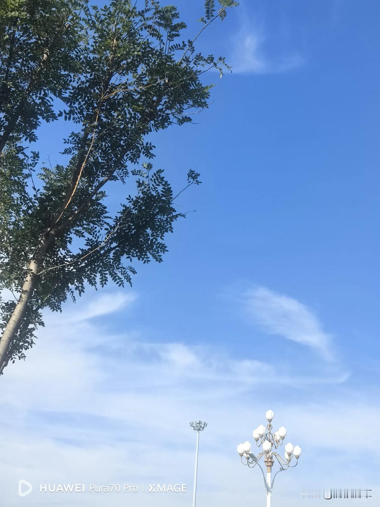 非常赞同汤家凤博士的观点。他公开呼吁，重视历史教育的核心地位！他认为历史课是最不