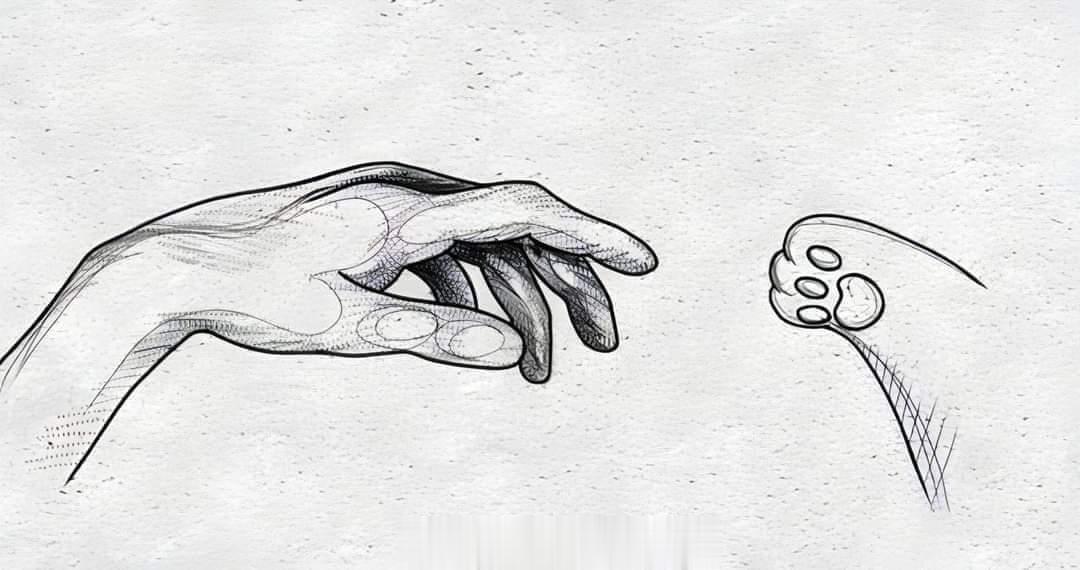 总比虚伪的人好 ​​​