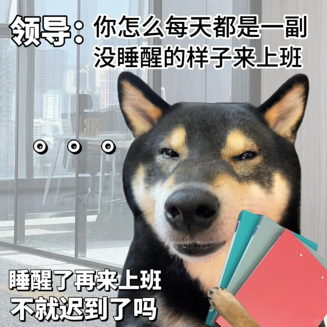 表情包|给领导添堵🤗