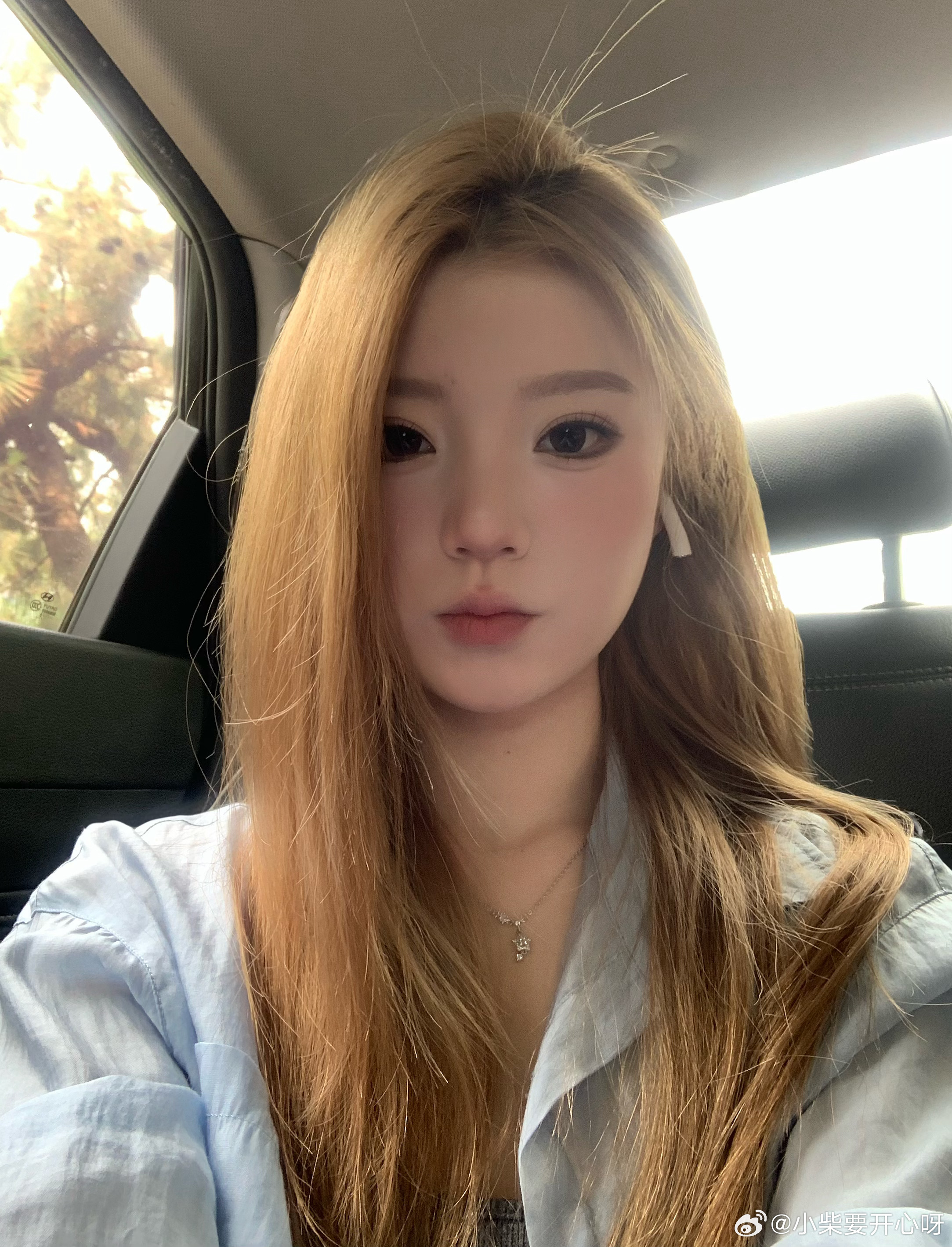 分享图片 ​​​