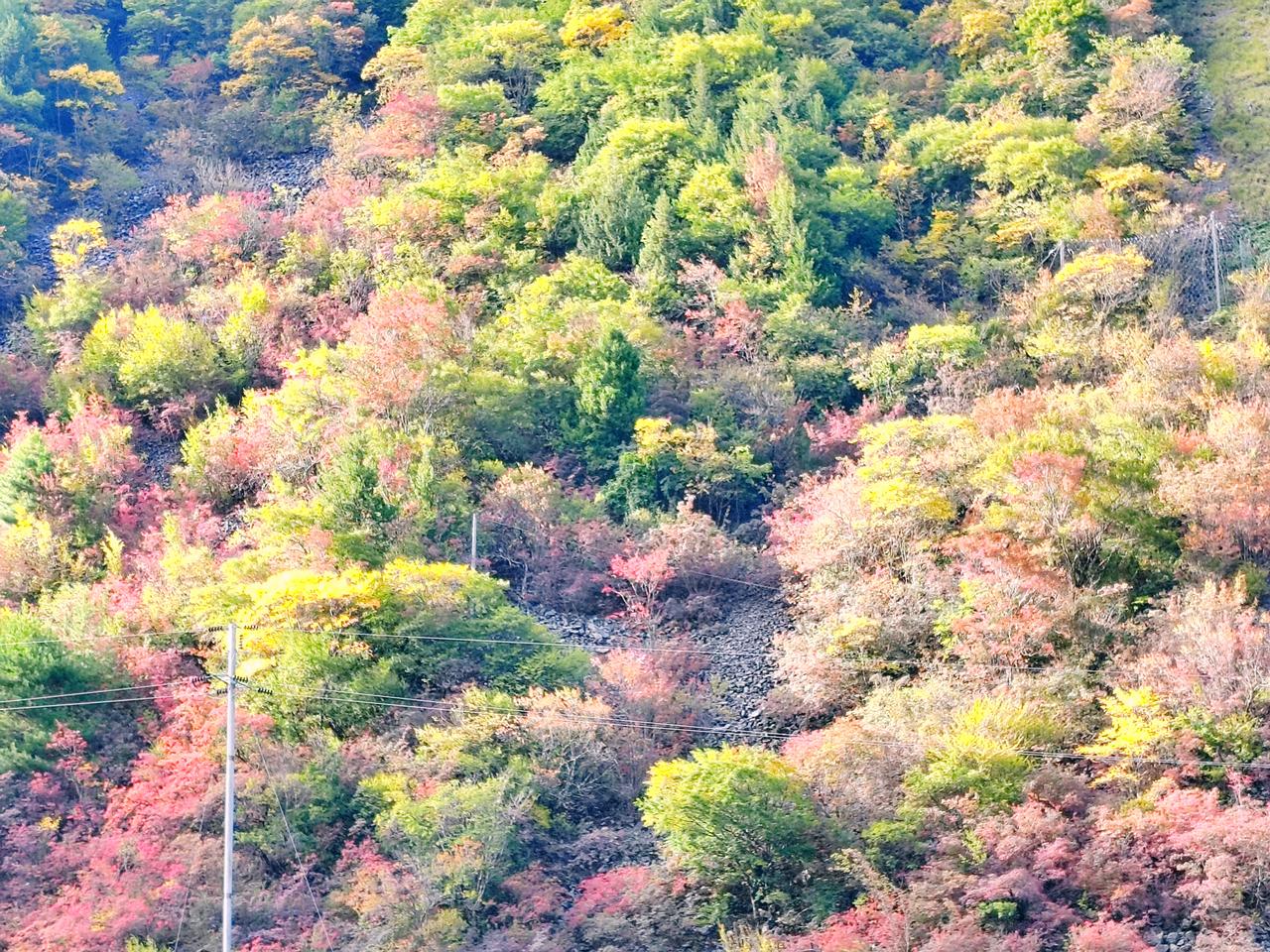 @豆包 帮我点评
