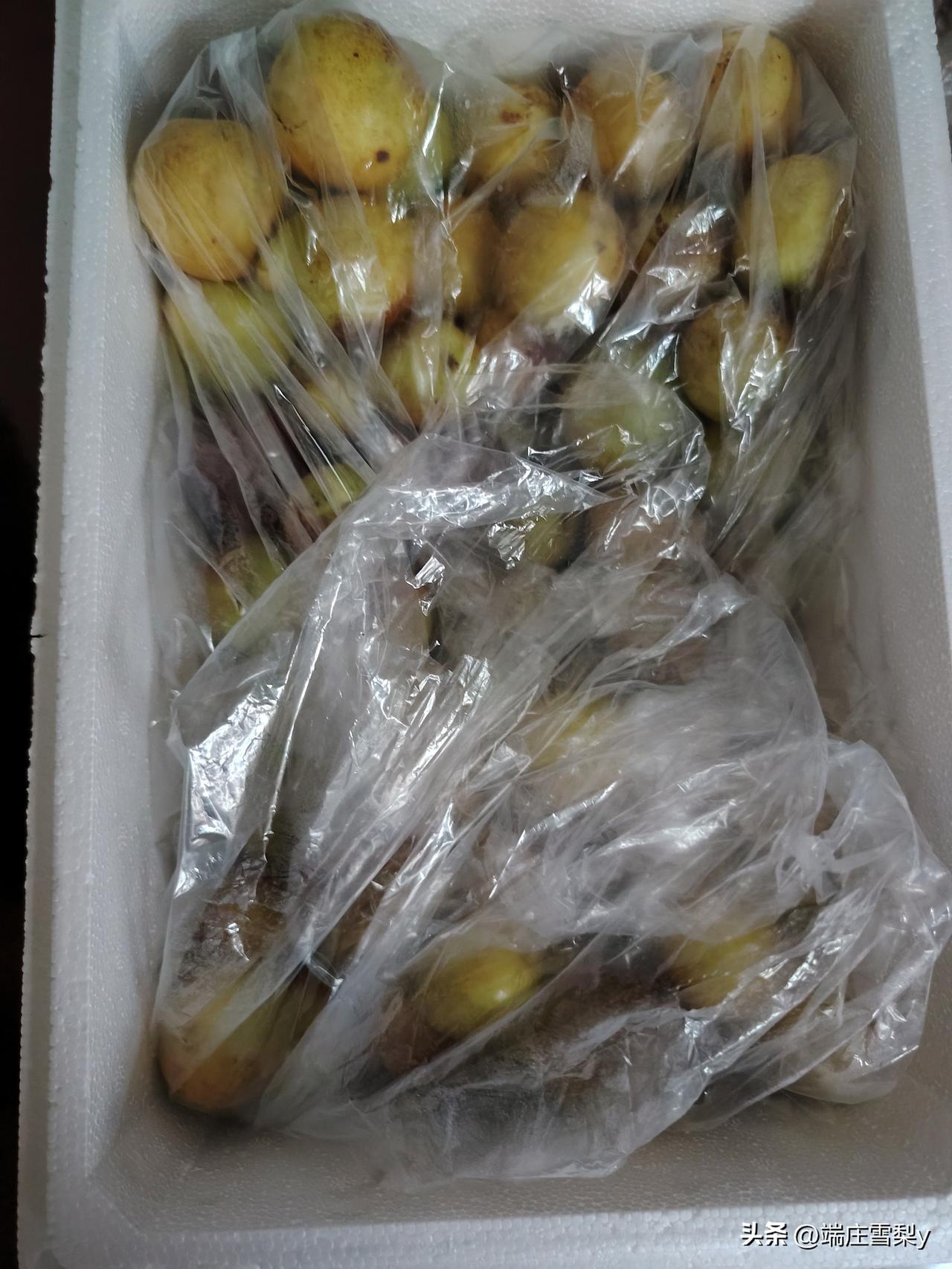 我和老公都喜欢吃鲜枣，每次只要去首衡，老公就会买一件鲜枣，每次吃枣子的时候，不知