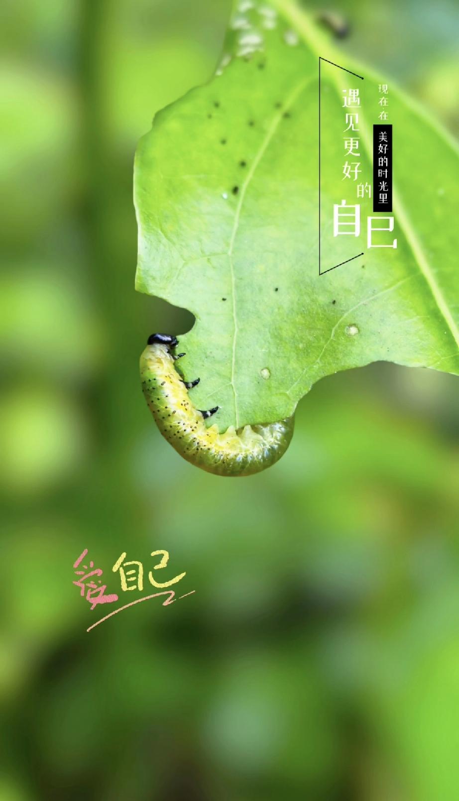 路是一步步走出来的，这话太对了。就像婴儿喂养，不能按网传固定60ml奶量来，得区