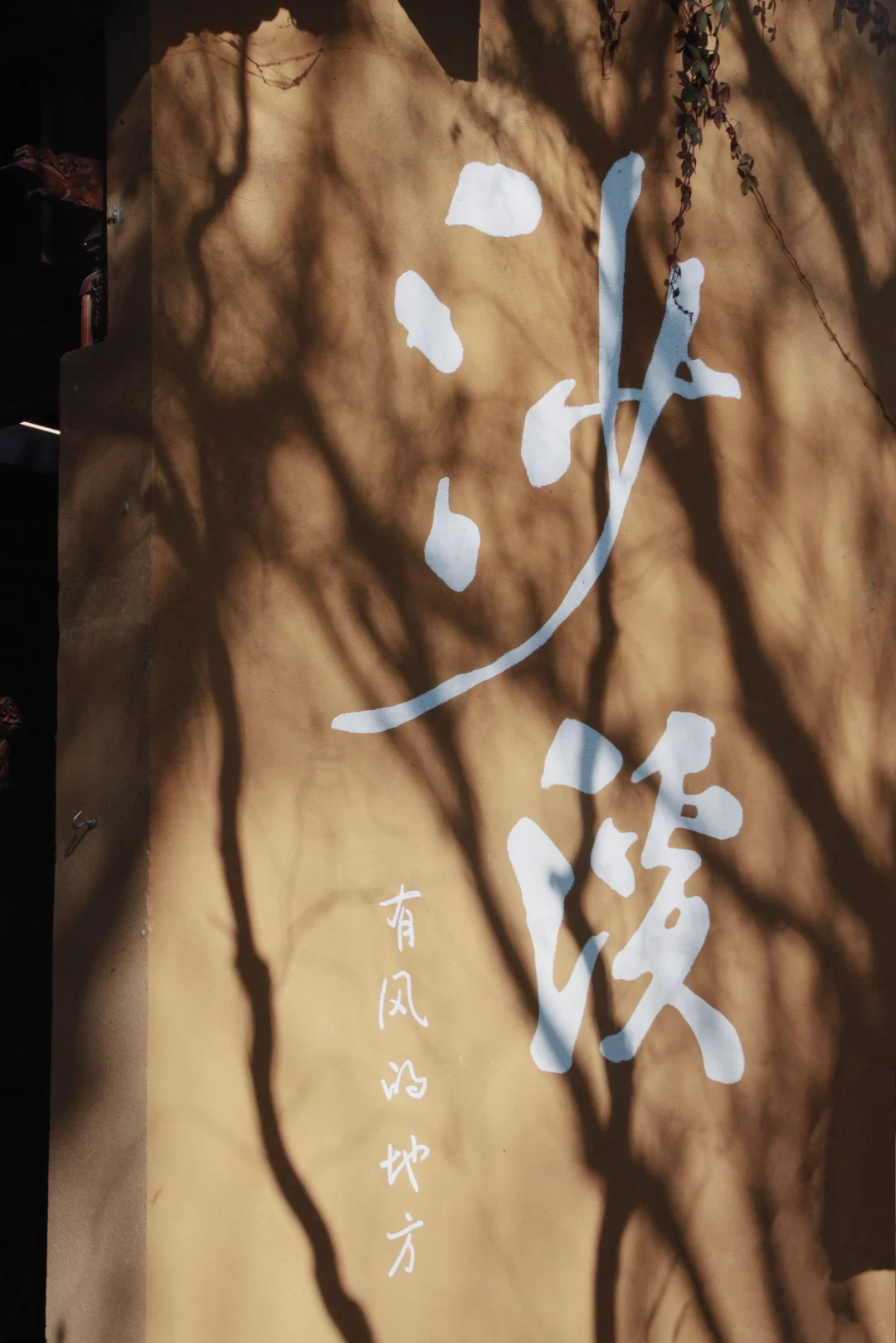 漫步在老城的时光里想带着小狗住下来