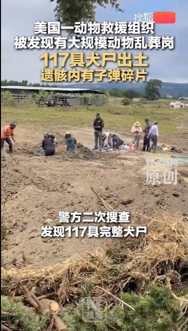 美国加州，警方从一动物救援组织的地下挖出了117具犬尸，其中有大量的子弹碎片。这