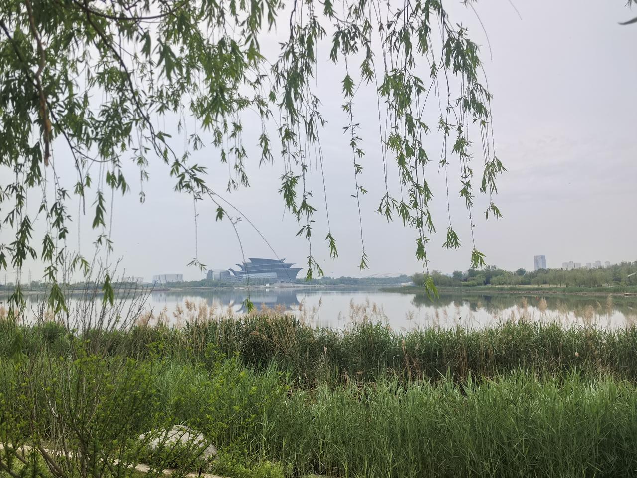 发一张图片，让我猜出你在哪里拍的大家能猜出这是哪里吗？