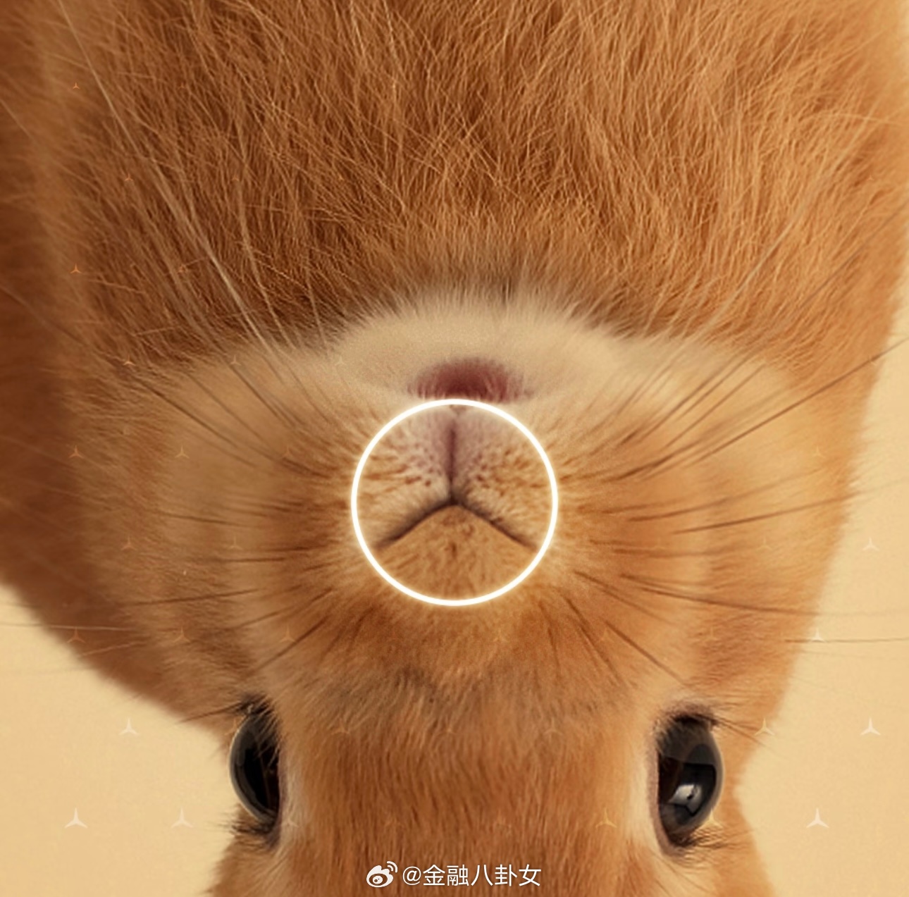 刚刚刷到金麒麟大会的现场图，这阵容太顶了！黄燕铭、但斌、李蓓等齐聚一堂，这场思想