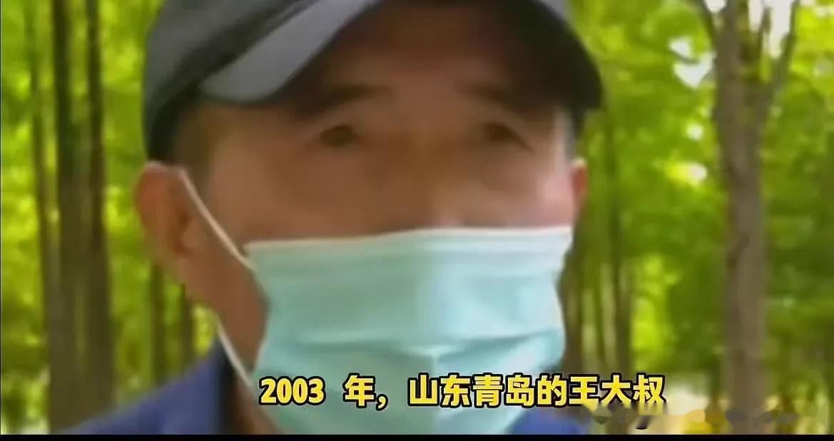 完整案情与法院判决解读
 
一、事情经过
 
2003年山东王先生存入8000元