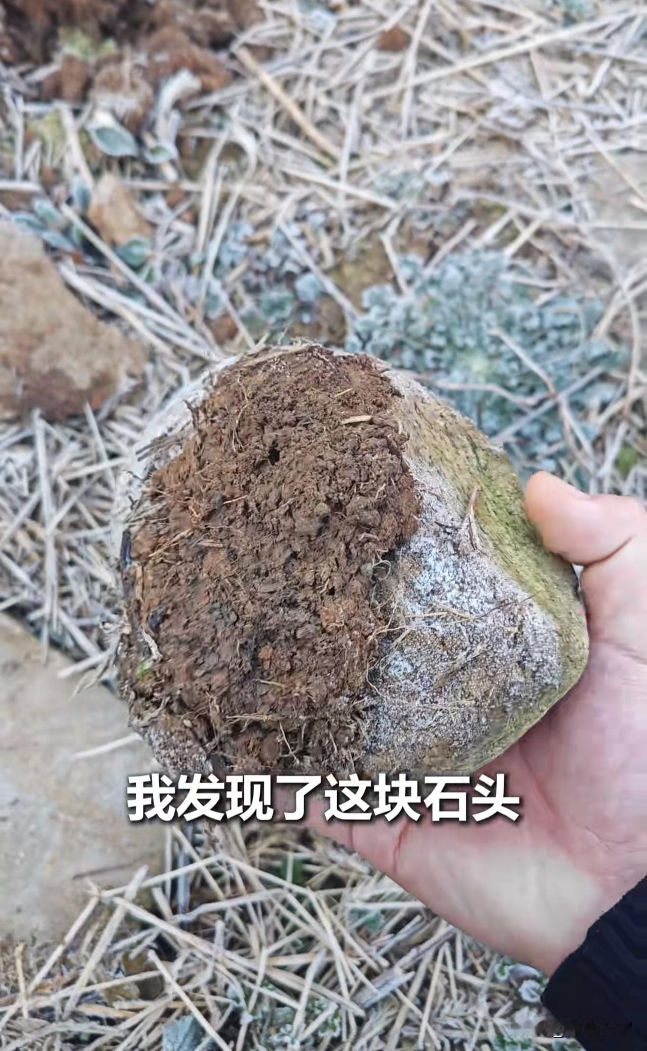 泪目了！人怎会对一块石头产生感情？除非它远不止是一块石头。
         近