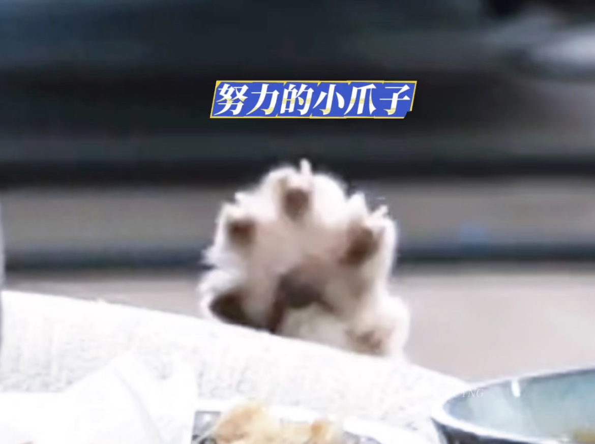这是谁呢 好难猜呀🤔陈瑶李意迟 🩷陈瑶我家那闺女 ​​​
