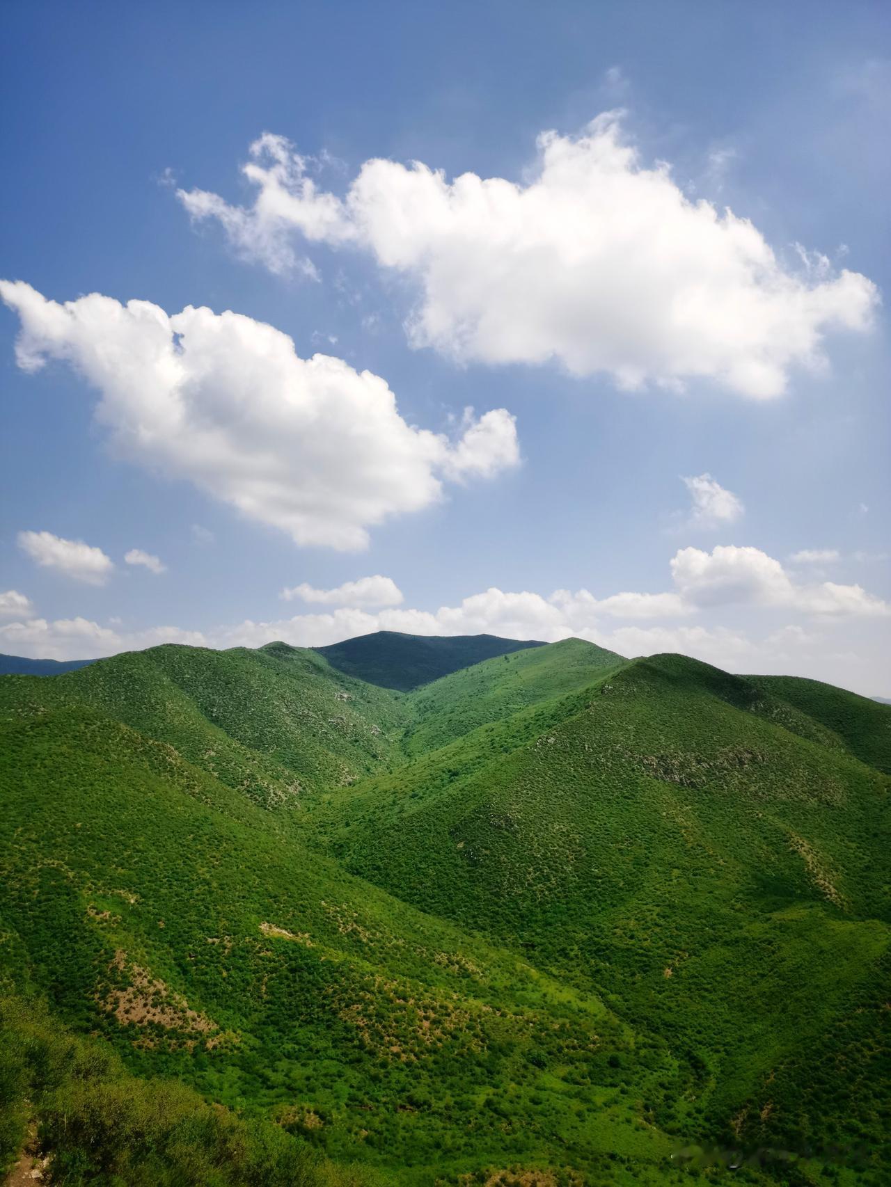 徒步呼和浩特大青山国家登山健身步道（水磨）。

我的脑海里，到了内蒙古就是风吹草