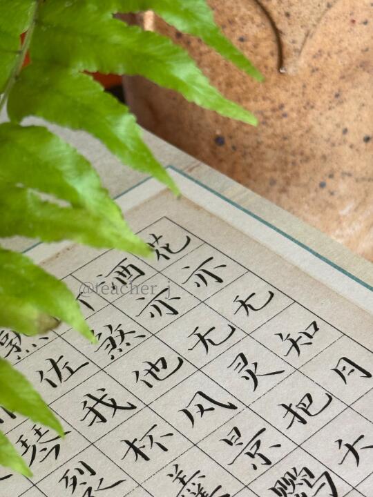 十年如一日🌿