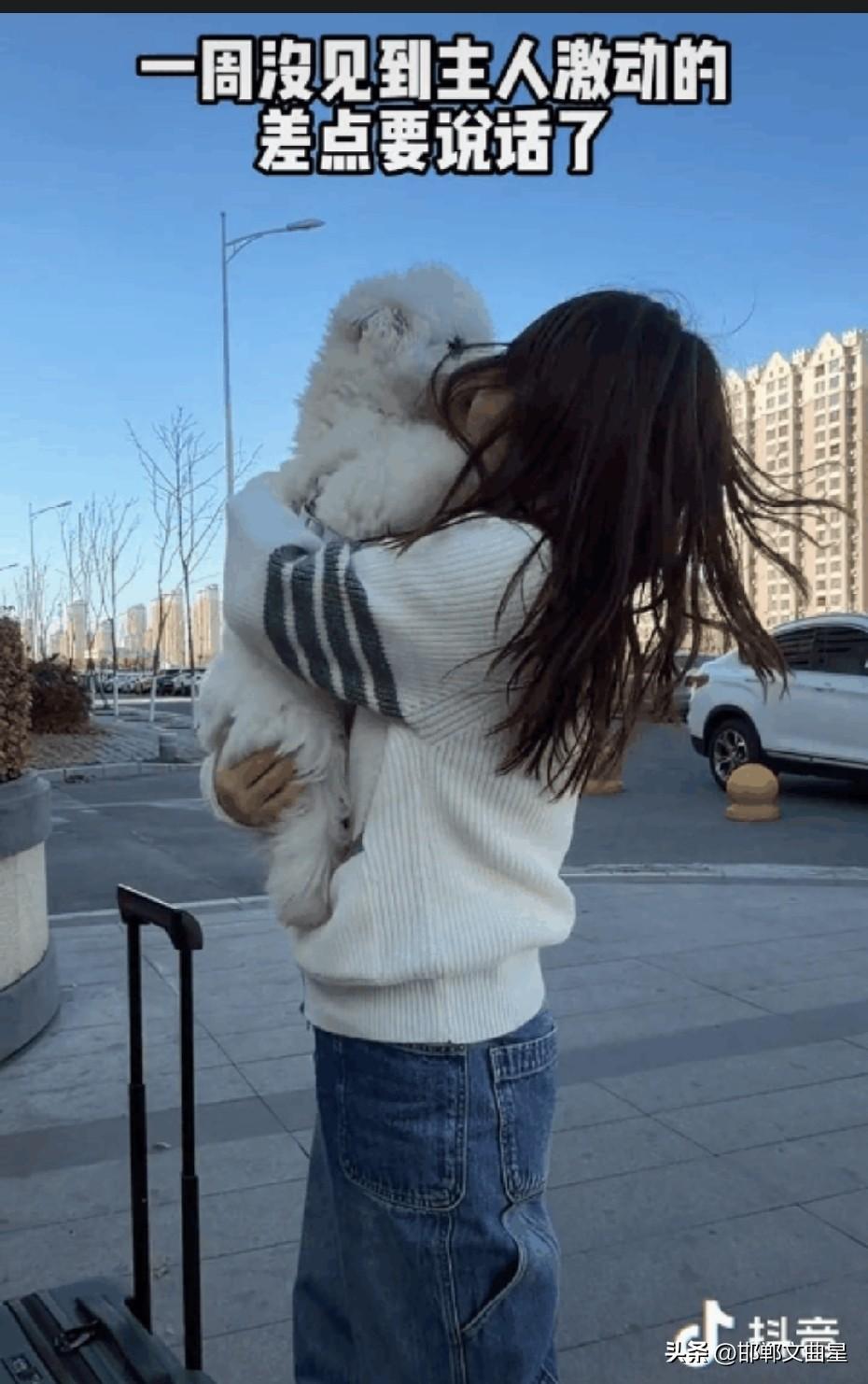 有人说，不养狗不知道养狗的乐趣。看来这话有一定的道理！
为什么这样说呢？
刚才看
