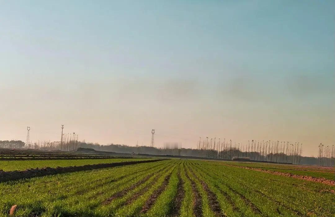 成人的世界，崩溃就在一瞬间。
 
我还在办公室里，心口发紧。那阵哭声散了，但人没