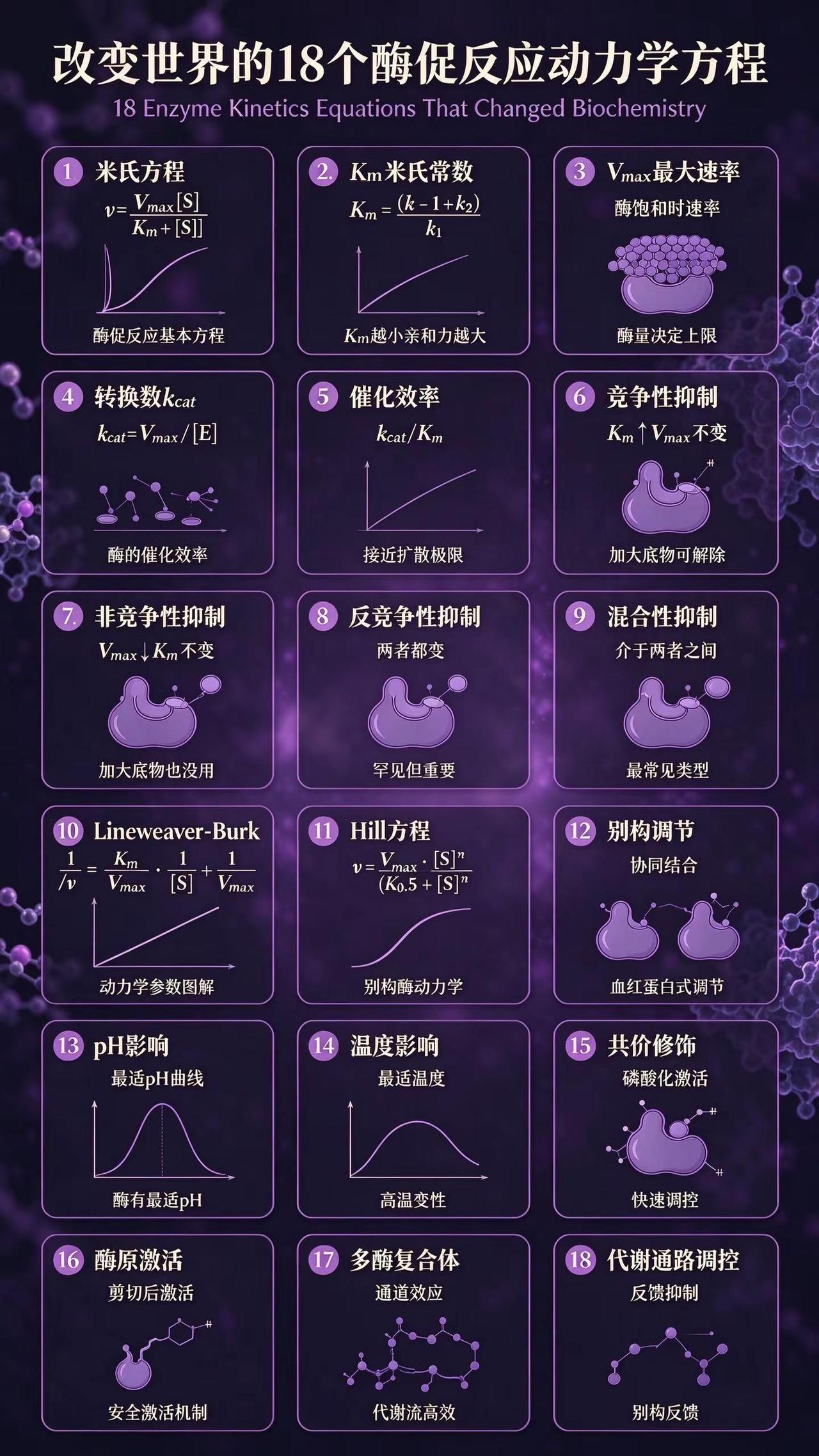 改变世界的18个酶促反应动力学方程。