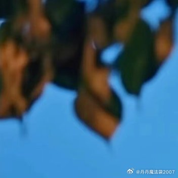 人生就是一场修行，修的就是一颗心，珍惜今天，珍惜现在，风舞落叶的日子，珍重一份别