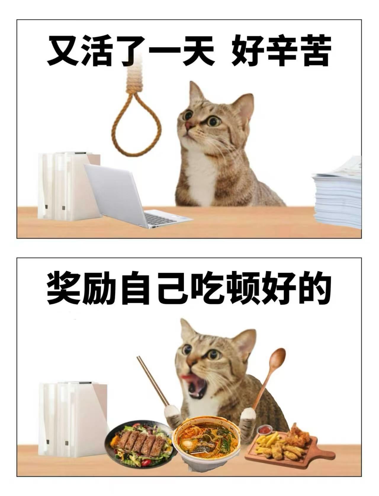 上海已经发展到这个地步了吗上海推出网约公交实在太惊喜，动动手机就能预约乘车，无需
