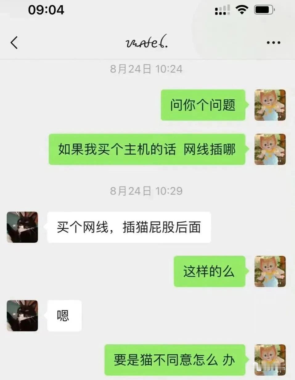 你小子自己说猫能同意吗？ ​​​