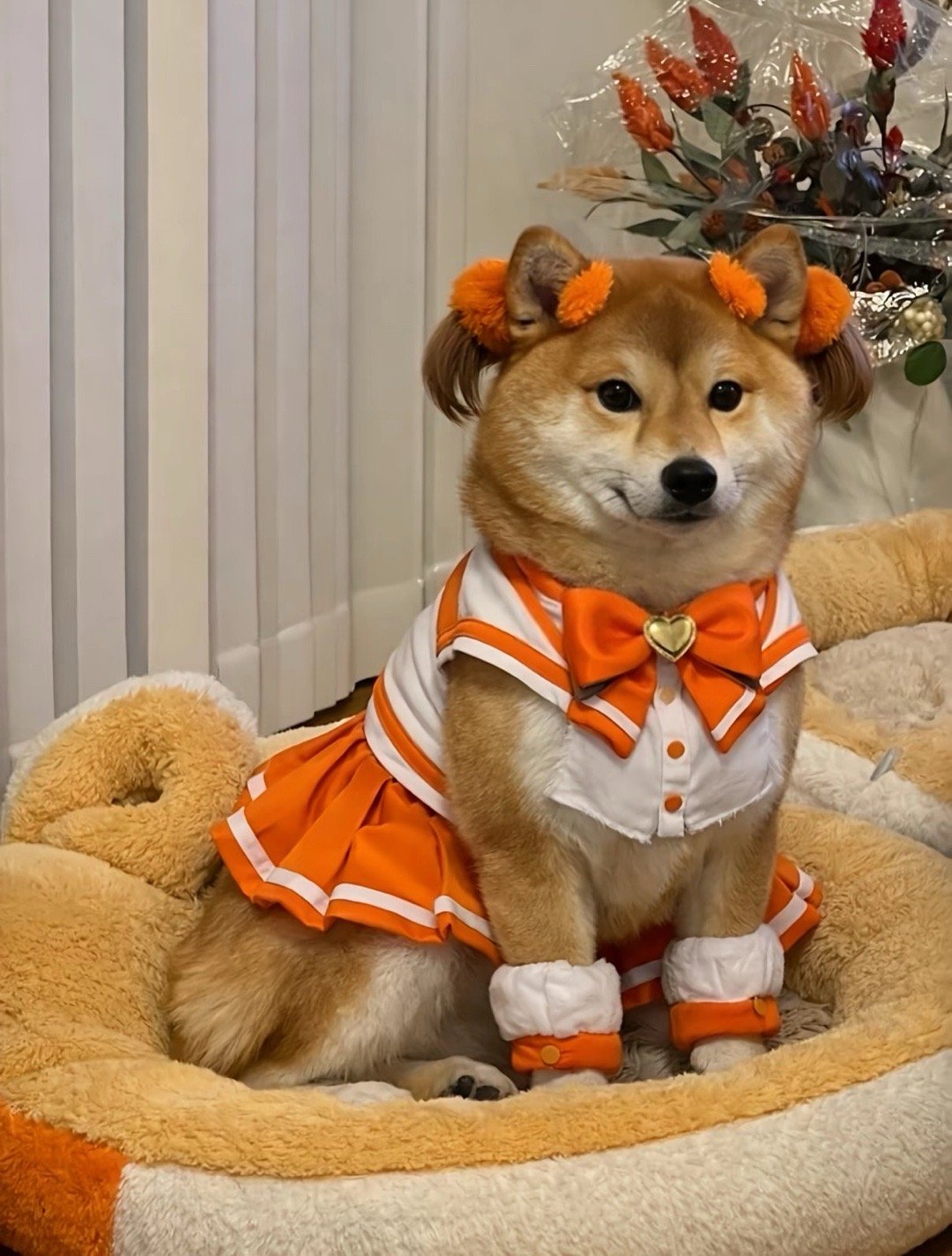 一大早笑醒了 代表橘月亮消灭你🍊 