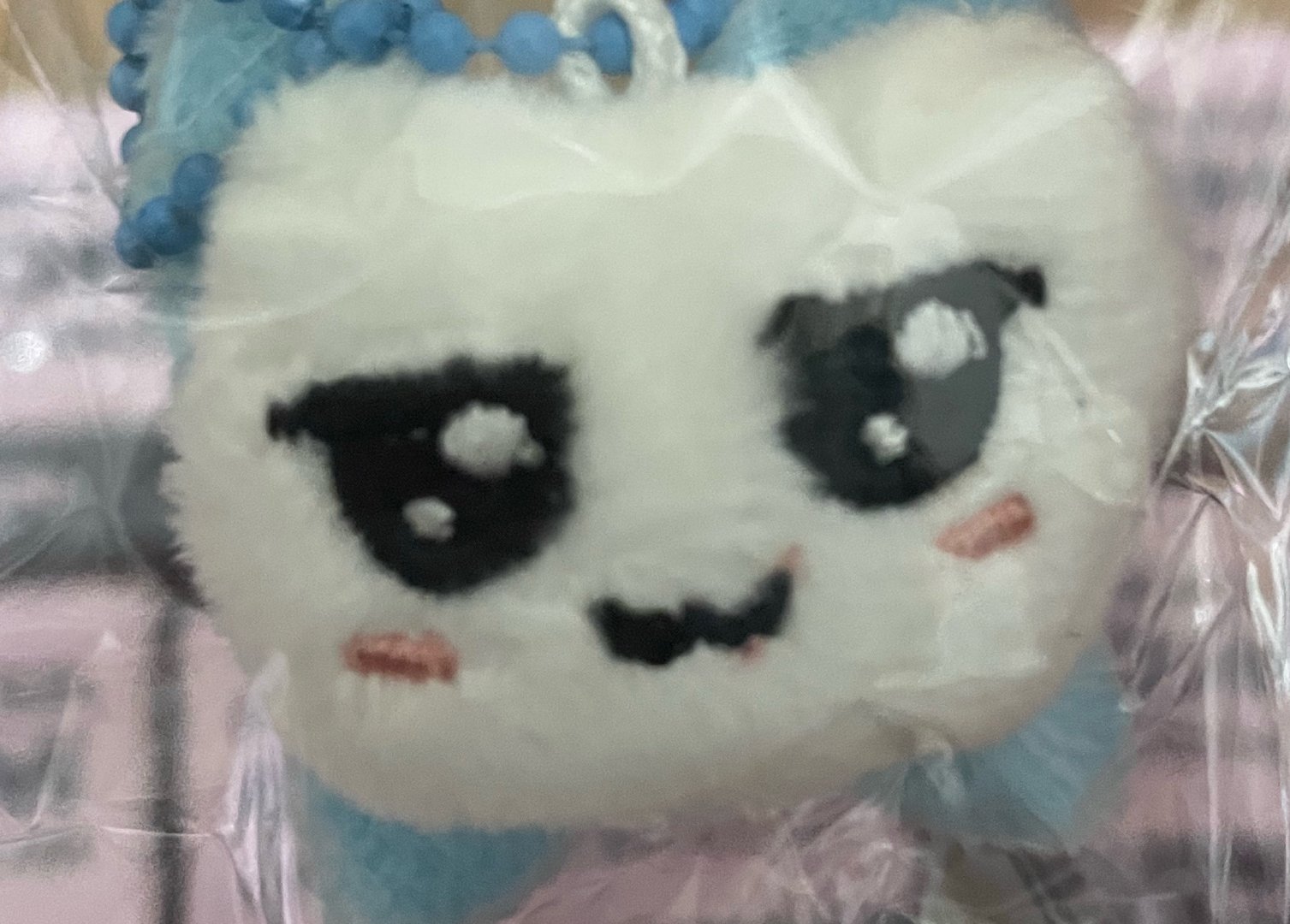 小馋猫来的 上次流口水这次偷吃火龙果！ 
