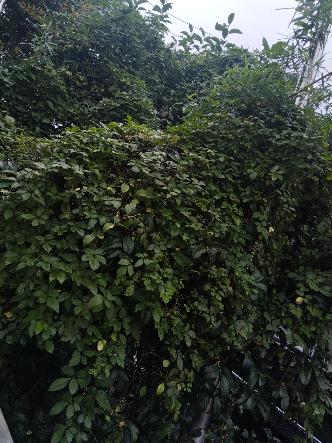 我新发布的内容被官方推荐啦！👍你也快来发布一条吧！带记录真实生活话题，更容易被