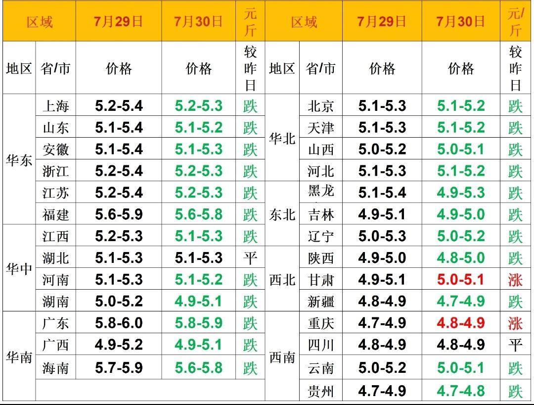 明日（2026.7.30）猪价来了，生猪价格继续下跌，猪价“三连跌”，持续偏弱运