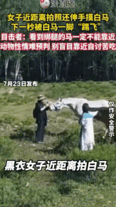 近日，在新疆阿勒泰发生了一件挺惊险的事。一位游客阿姨在草原游玩时，看到一匹被绑住