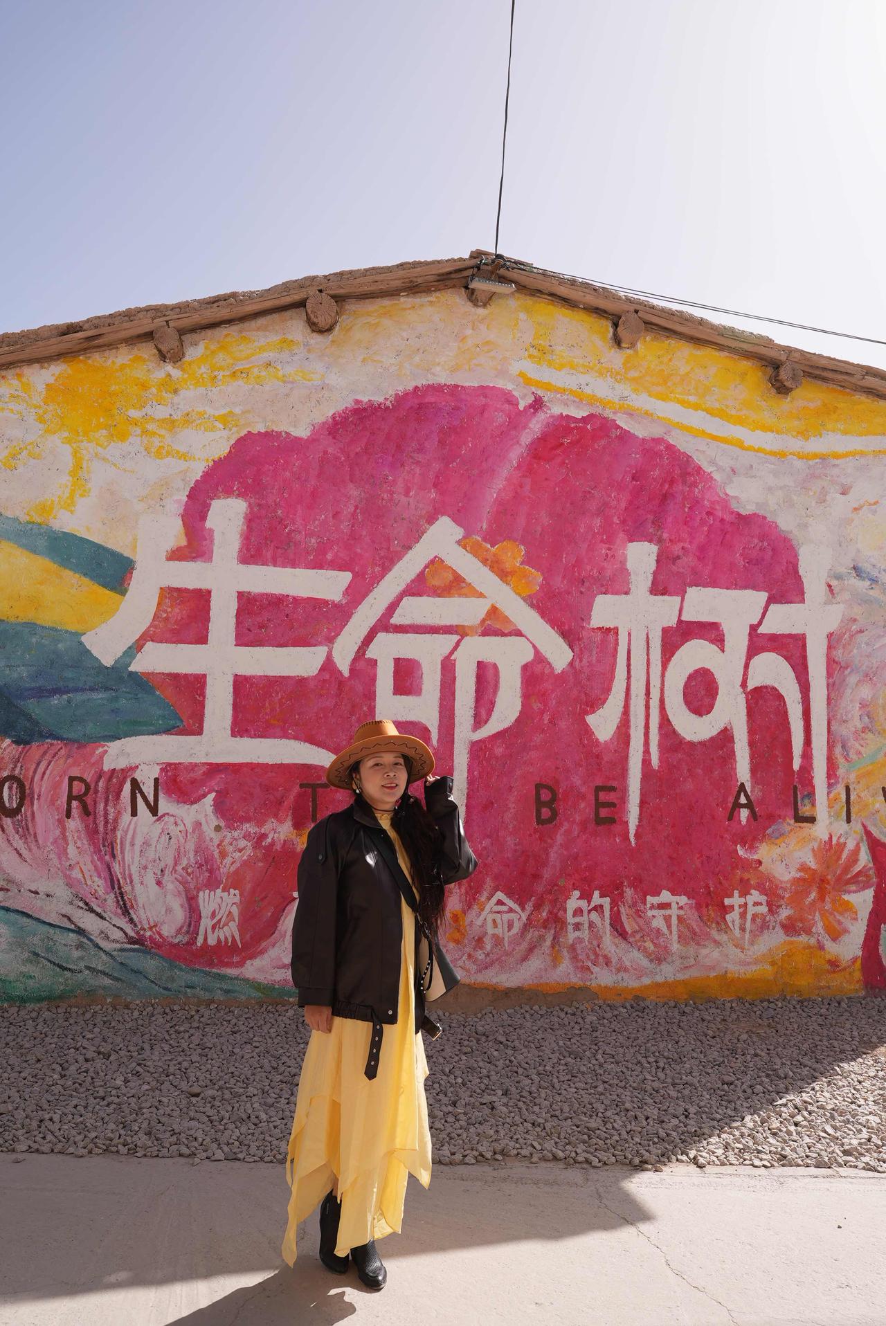 听说今天杨紫到德令哈，重回生命树影视基地了！前两天刚旅行青海到了德令哈还特意去生