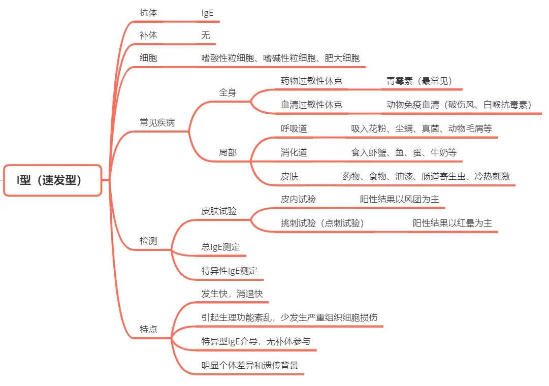 四型超敏反应