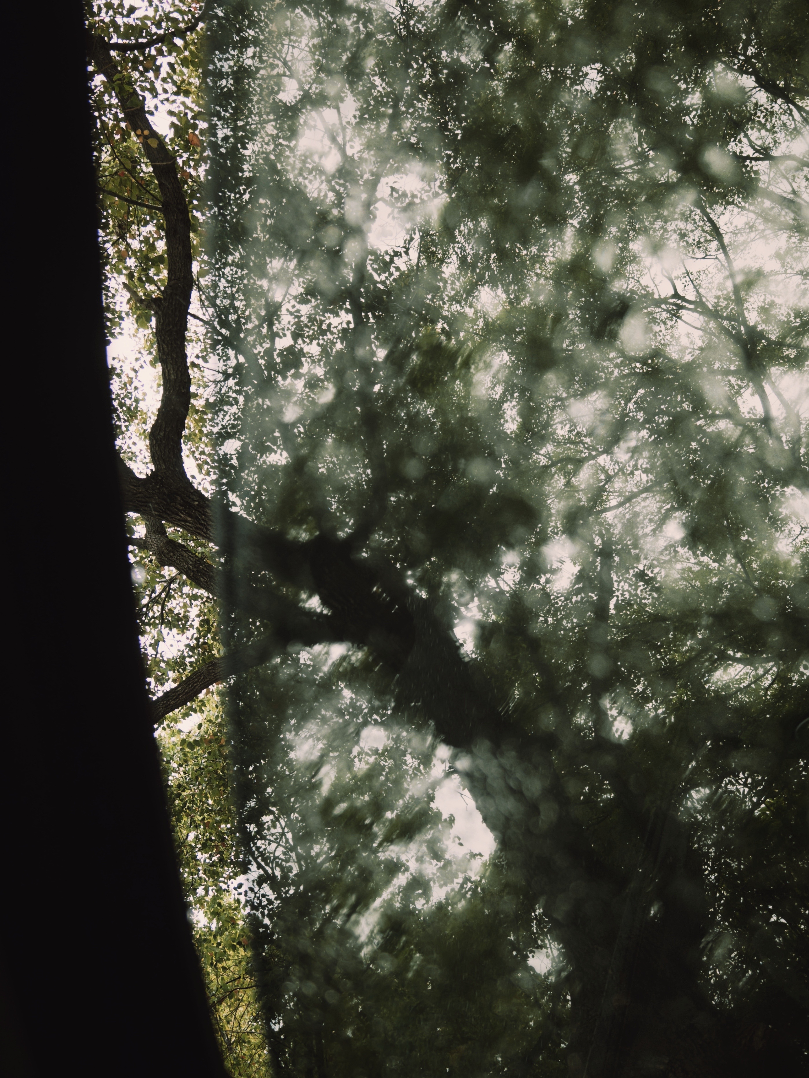 此时春天与我乱了分寸。 