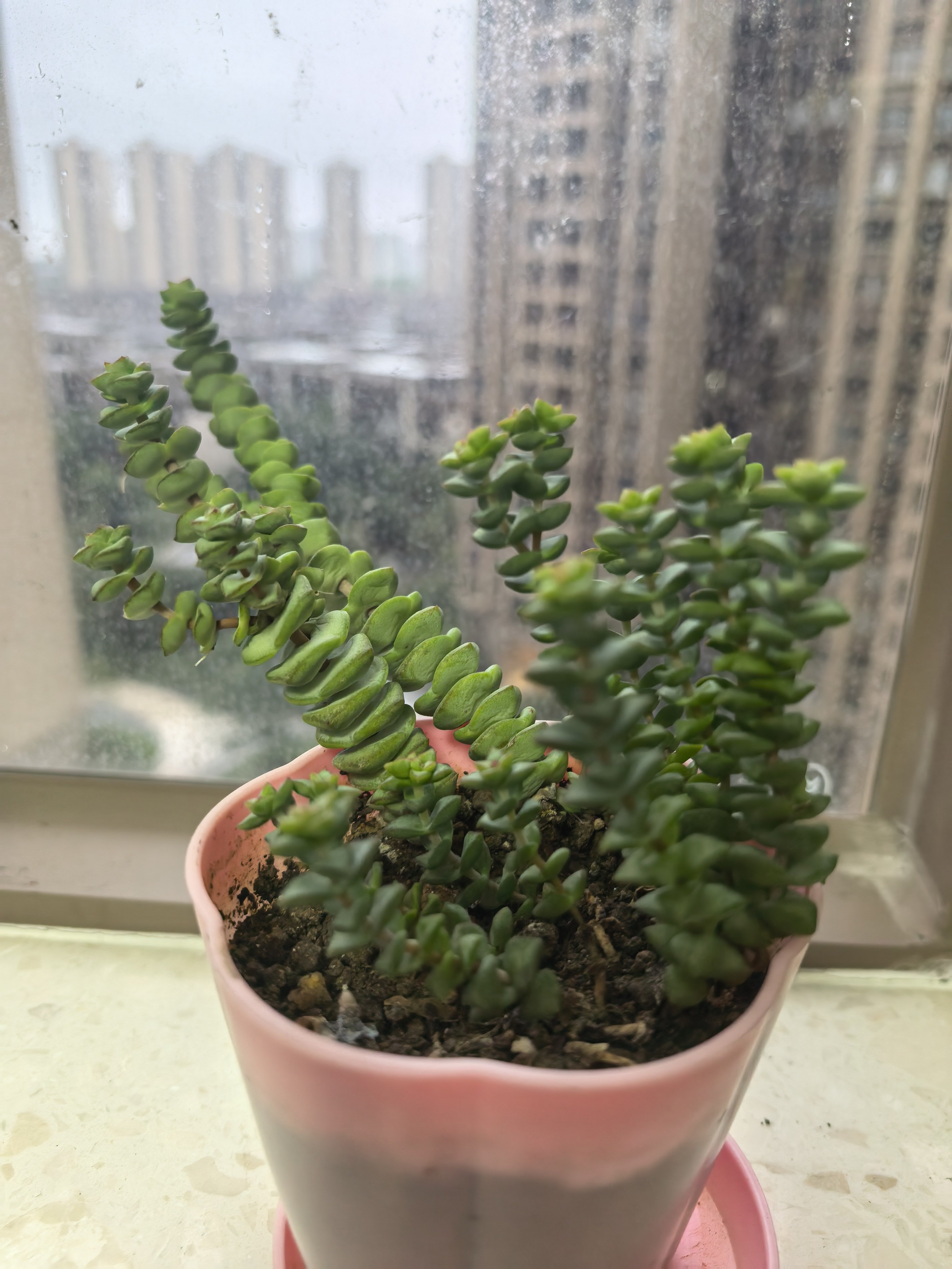 兄弟姐妹们，早安！新的一周，我们打起精神来，撸起袖子加油干