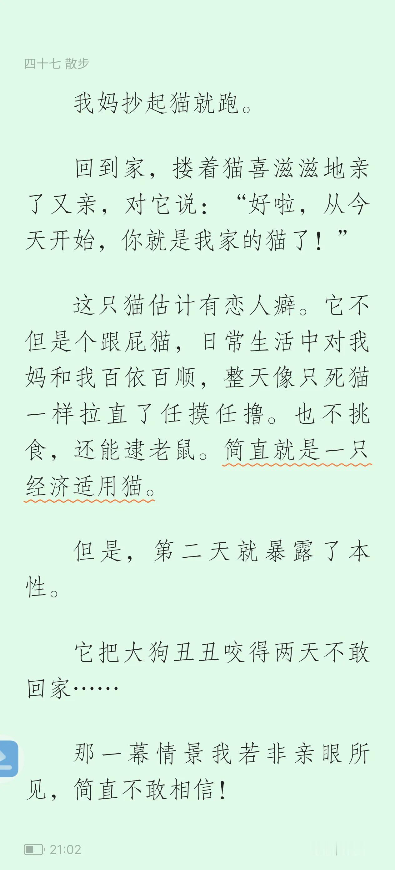 我看其他猫袭敌之前，先伏身相峙，再呜呜警告，再甩无数眼镖。然后耸肩龇牙，拉开架势