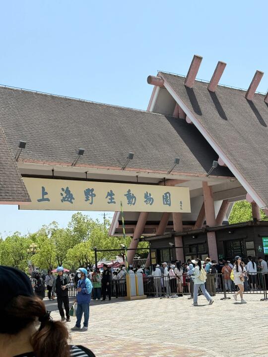 逛动物园啦！🦒🦓🐘🦭🦝🦢