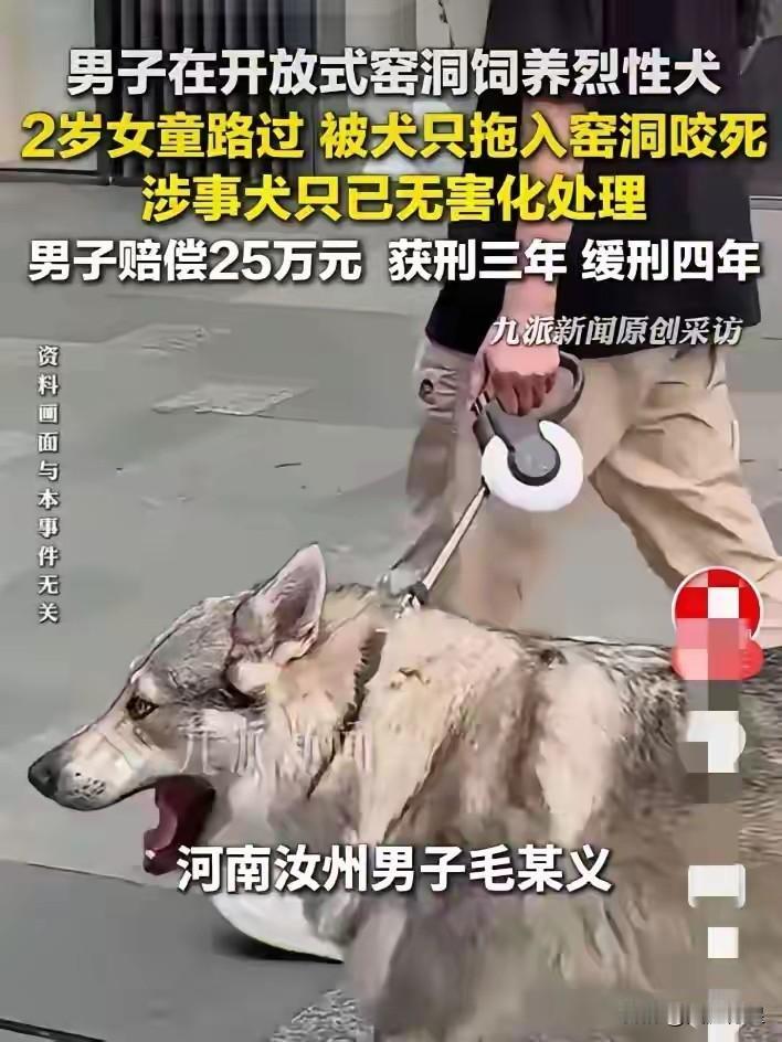 司法实践的意义是什么？

两岁幼童被烈性犬咬死，狗主人被判三年，缓刑4年，赔偿2